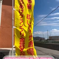 画像647
